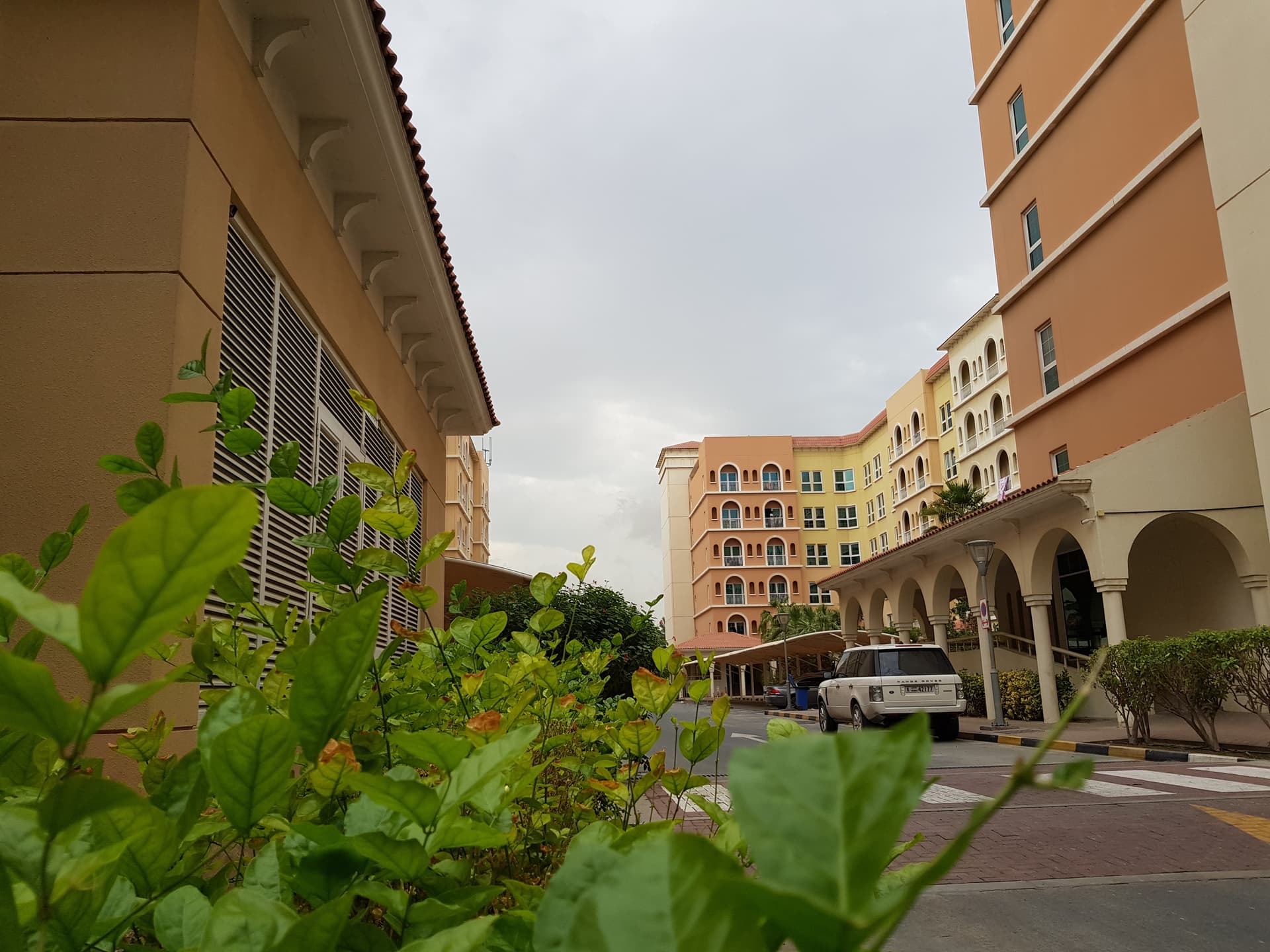 Dubai Investment Park (DIP)