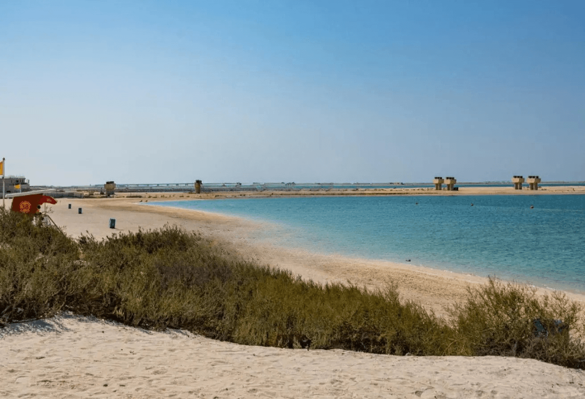Top Location | Single row | Area Expert 4